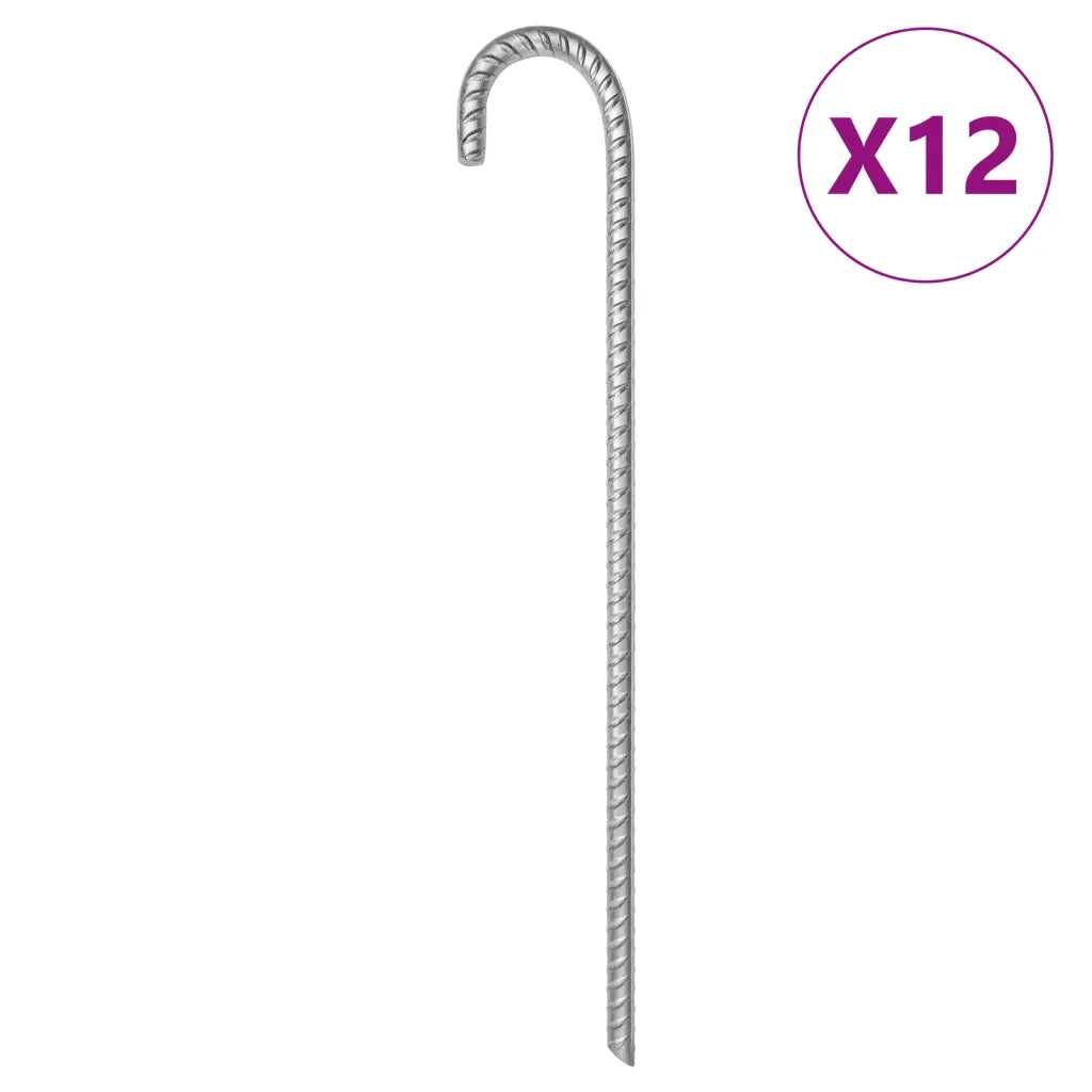 Picchetti per Tenda 12 pz 41,5 cm Ã˜12 mm in Acciaio Zincato
