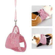 Set di Cinturini Adattabili per Animali da Compagnia - Riem Set per Cinturino Esterno da Camminata - per Piccoli Animali - Taglia L - Adatto per Cavia/Ecure/Egide/Fret/Coniglio - Cinturino per Animali