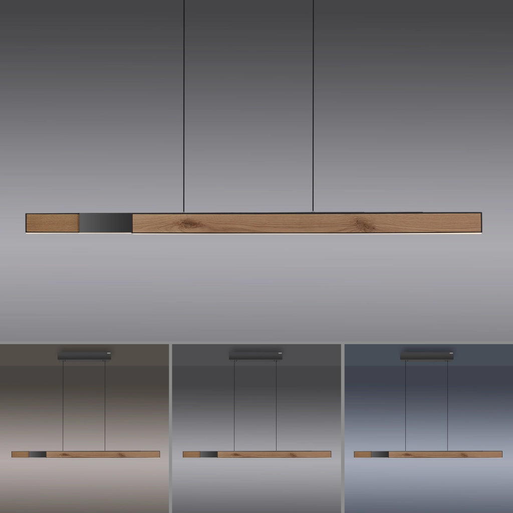 Lampada sospensione regolabile LED 13W MOTO-RISE Paul Neuhaus