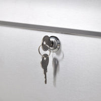 Porta giornali da giardino per cassetta postale in acciaio inox 1002009