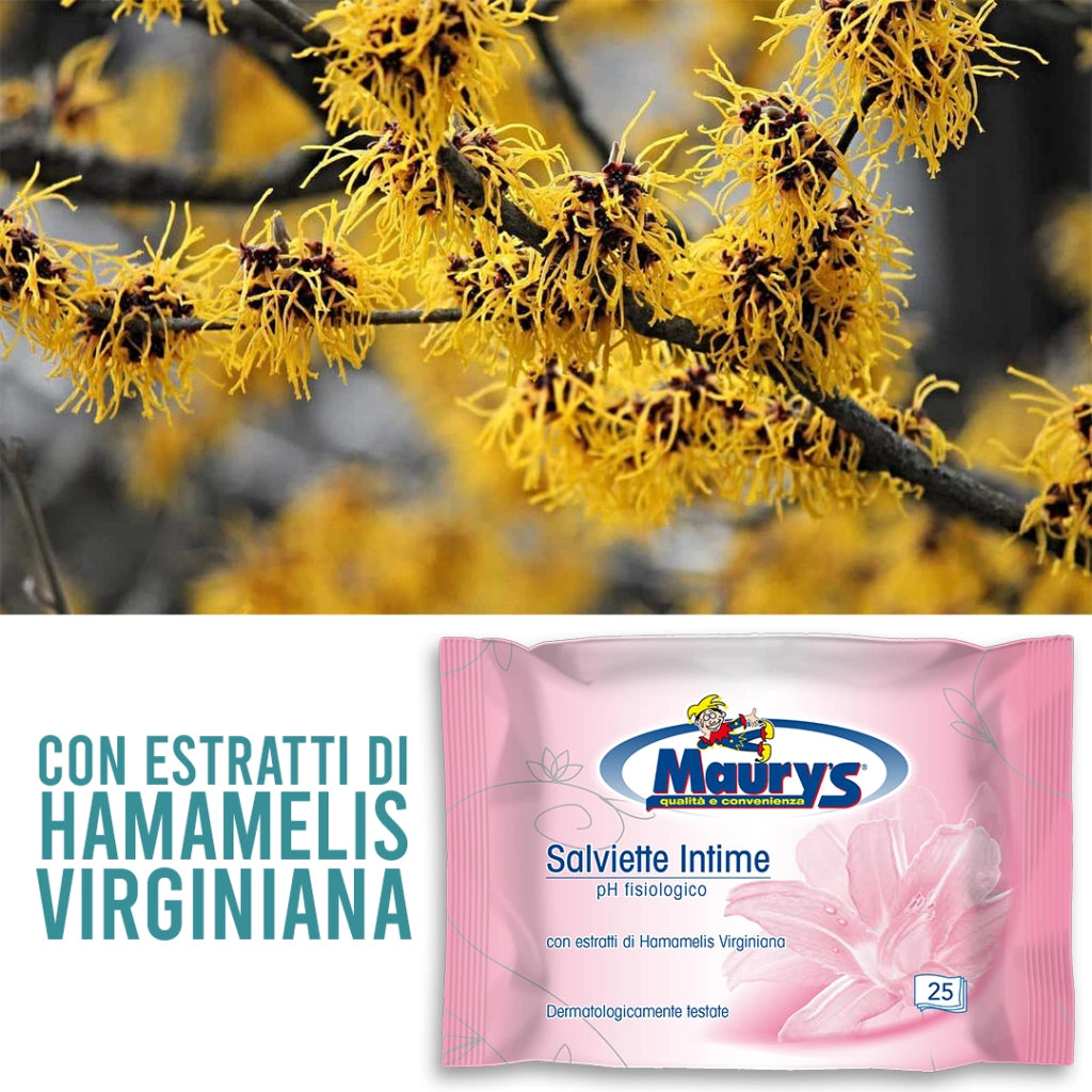 MAURY'S SALVIETTE DETERGENTI UMIDIFICATE INTIME 25PZ PH FISIOLOGICO