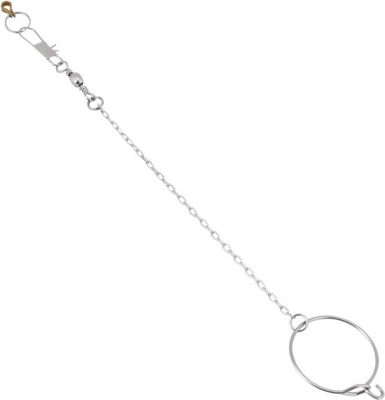 Anello in acciaio inossidabile per uccelli da giardino - anello di gioco argento 45 mm