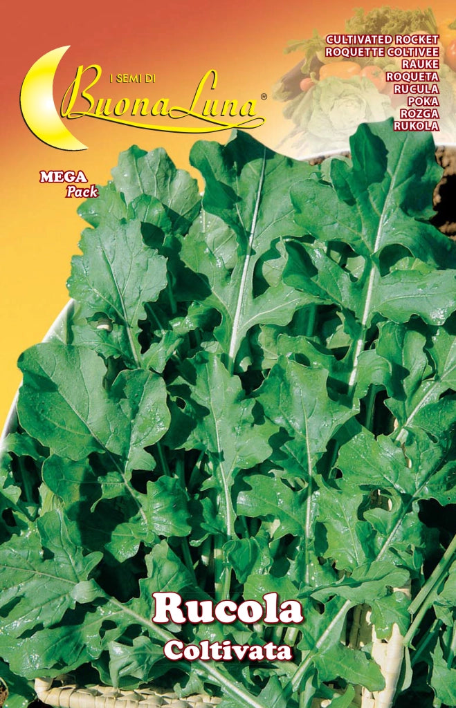SEMI ORTO RUCOLA COLTIVATA- HORTUS SEMENTI- 10,0 pz
