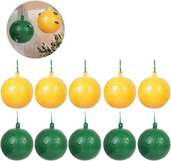 Vetriolo per insetti - Rastrelliere per insetti - Cattura insetti - per interni e esterni, giardini e frutteti - 10 pezzi