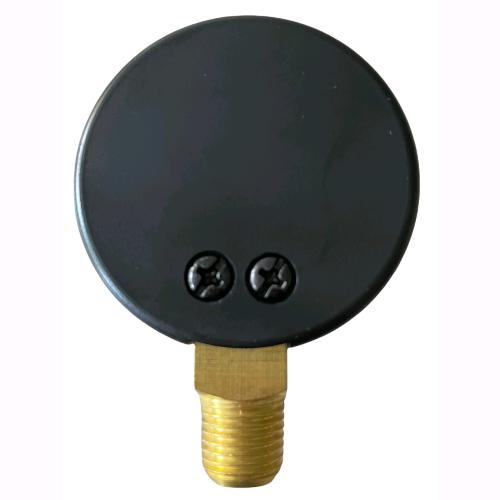 Manometro per Autoclave Doppia Scala 0-6 bar 0-85 psi Attacco Radiale Pressione Acqua