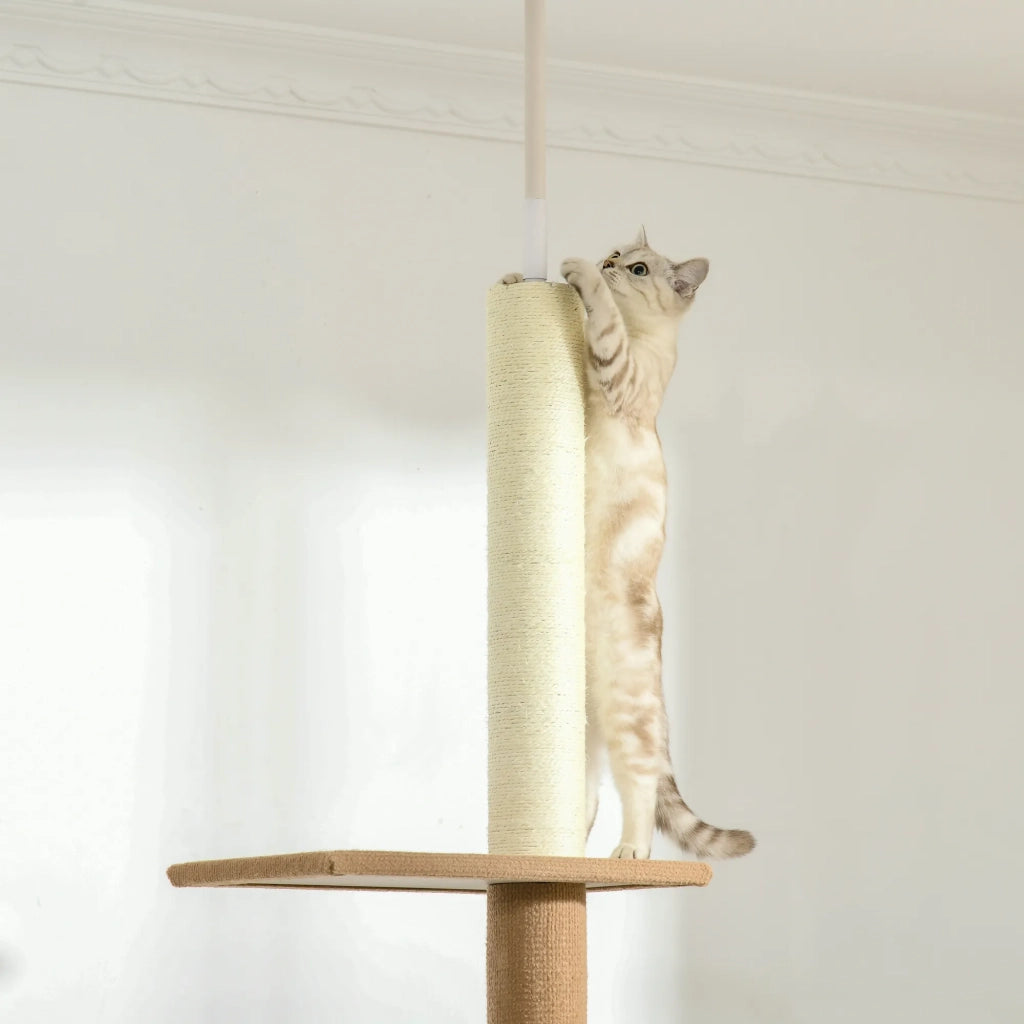 Albero tiragraffi per gatti da soffitto, regolabile in altezza 228-260 cm, colore cachi