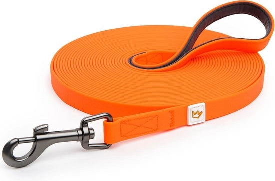 Cinturone per cani, 5 m / 10 m, cinturone robusto e resistente all'acqua per un'addestramento efficace, con imbottitura di supporto