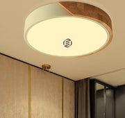 Lampada da soffitto per la stanza da bagno - Plafoniera per la stanza da bagno - Lampada per la stanza da bagno - Premium
