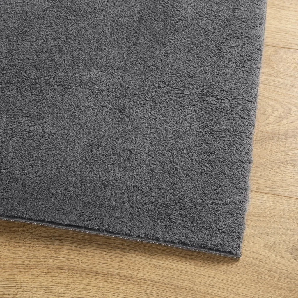 Tappeto Pelo Corto HUARTE Morbido Lavabile Antracite 240x340 cm 375007