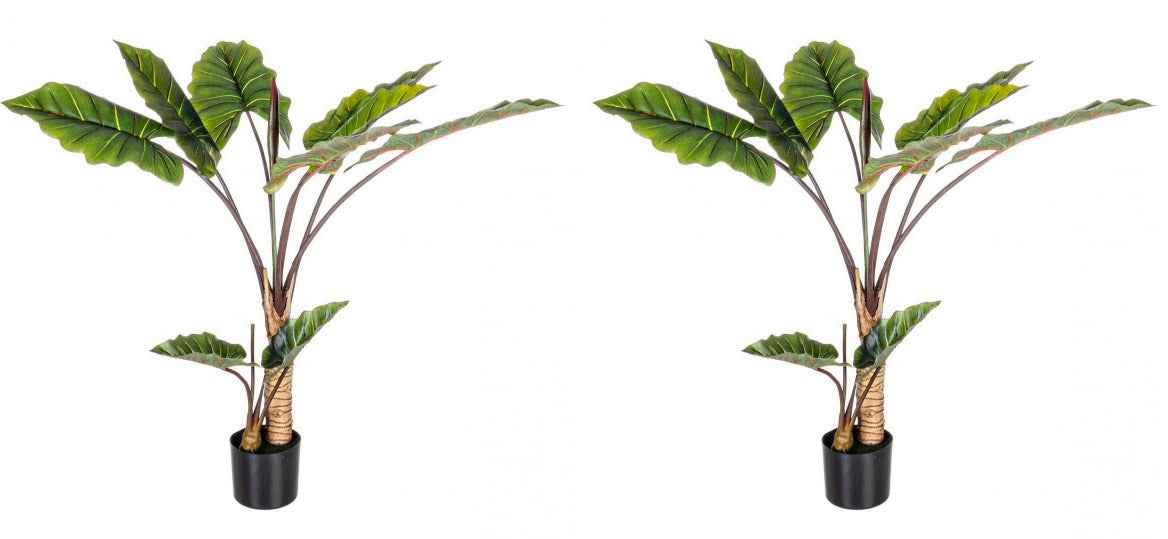 Set 2 Piante Artificiali Dieffenbachia Ø100x134 cm in Plastica con Vasi Verde
