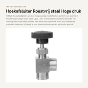 Ventile di angolo ad alta pressione - Valvola a ago - Fusto BSPP - Vite interna - Acciaio inossidabile - Sigillatura senza perdite - Adatto per acqua/gas/olio