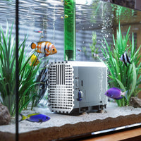 CHJ-900-10 Pompa da laghetto 900l/h 20W Filtro e pompa per ruscelli Cavo da 10 m