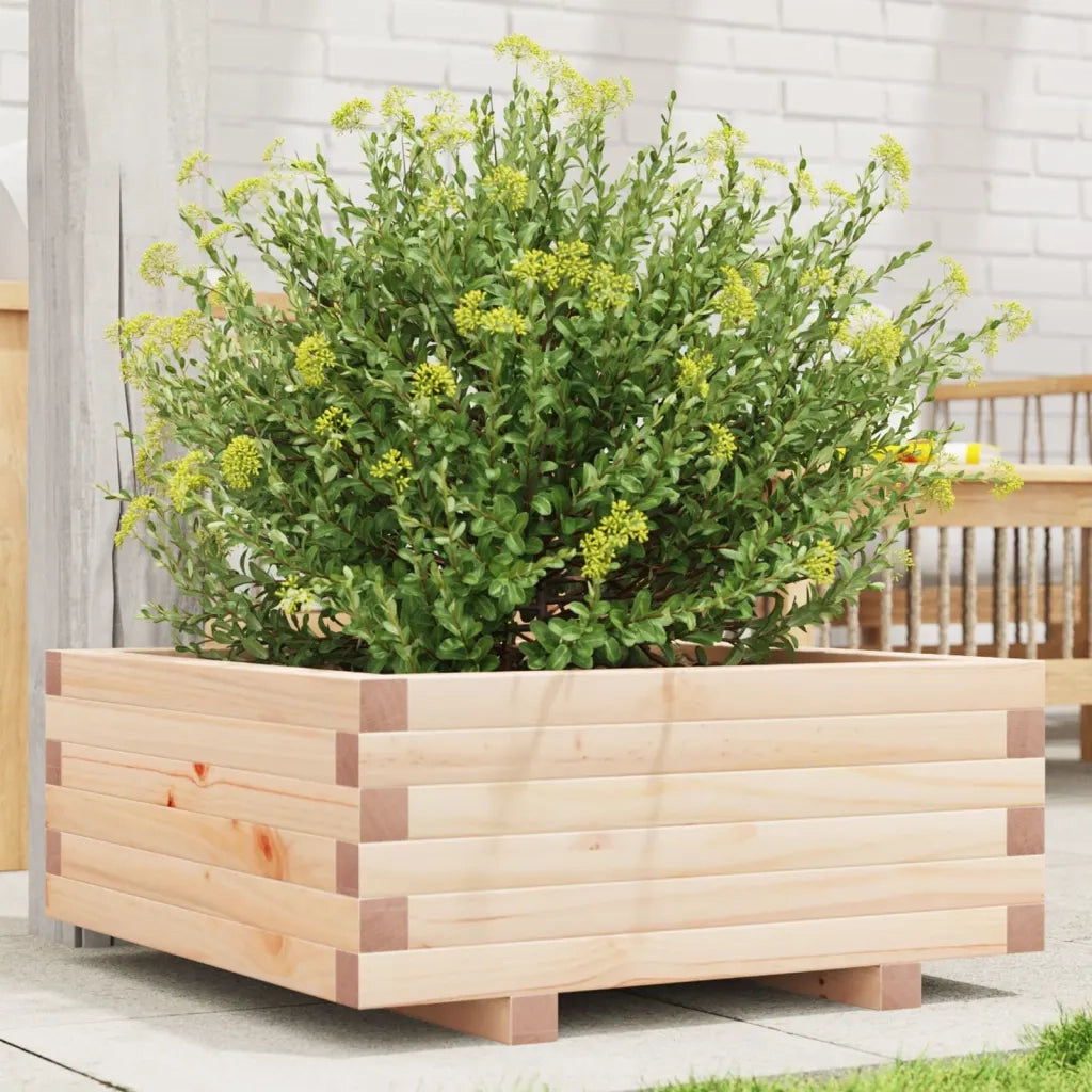 Fioriera da Giardino 60x60x26,5 cm in Legno Massello di Pino 847298