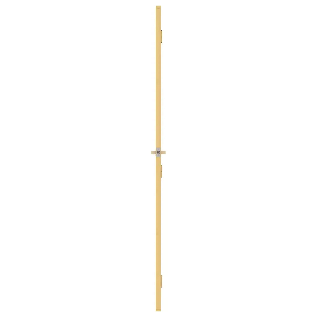 Porta Interni Sottile Oro 83x201,5cm Vetro Temperato Alluminio 155141