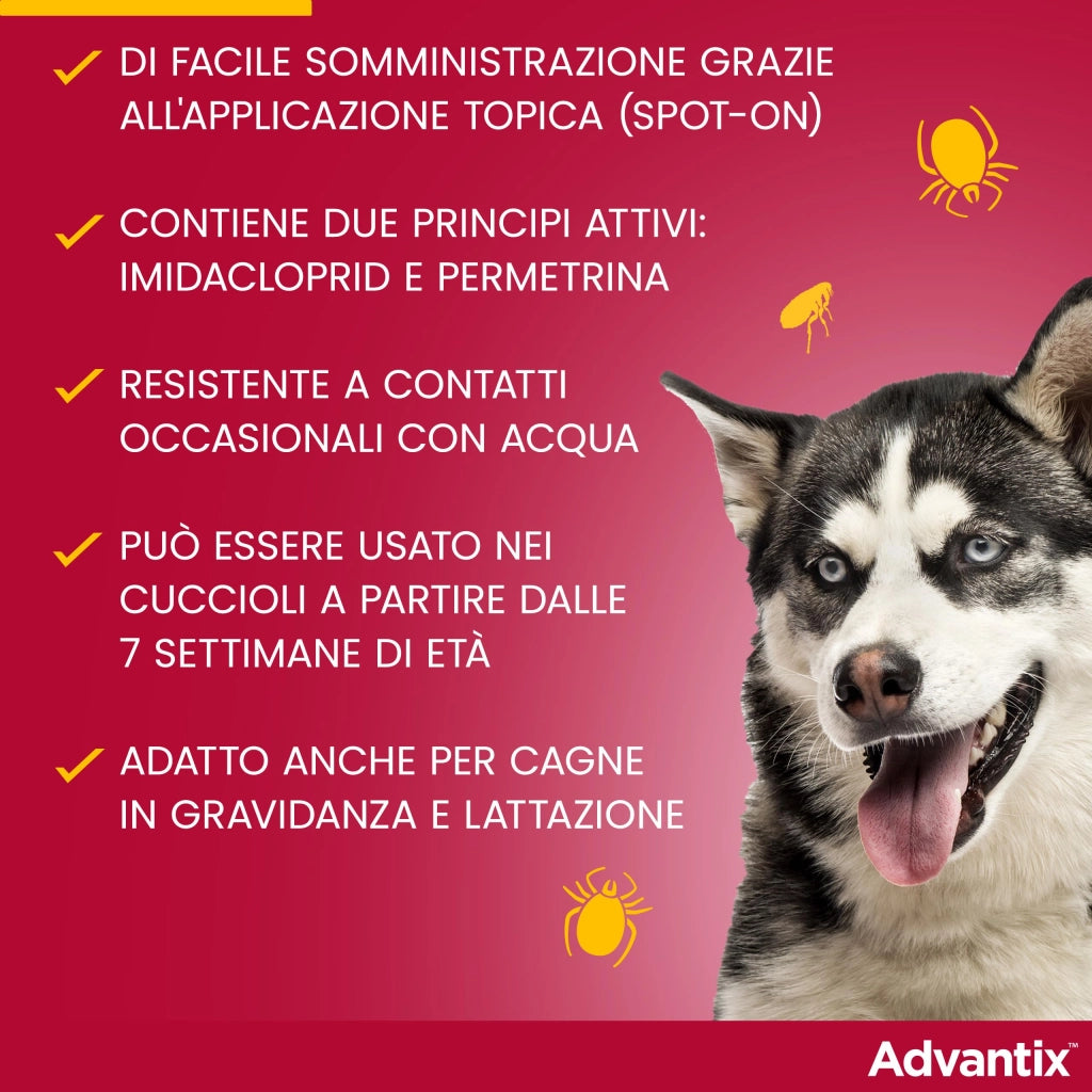 Antiparassitario < 6 Pipette Advantix Spot On 4 kg 0,4 ml