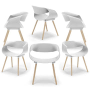 Set 6 sedie in polipropilene DILETTA con gambe in faggio, resistente ai raggi UV, design moderno, ideale per sala da pranzo, cucina, sala d’attesa, bar, ristoranti, colore Petrolio