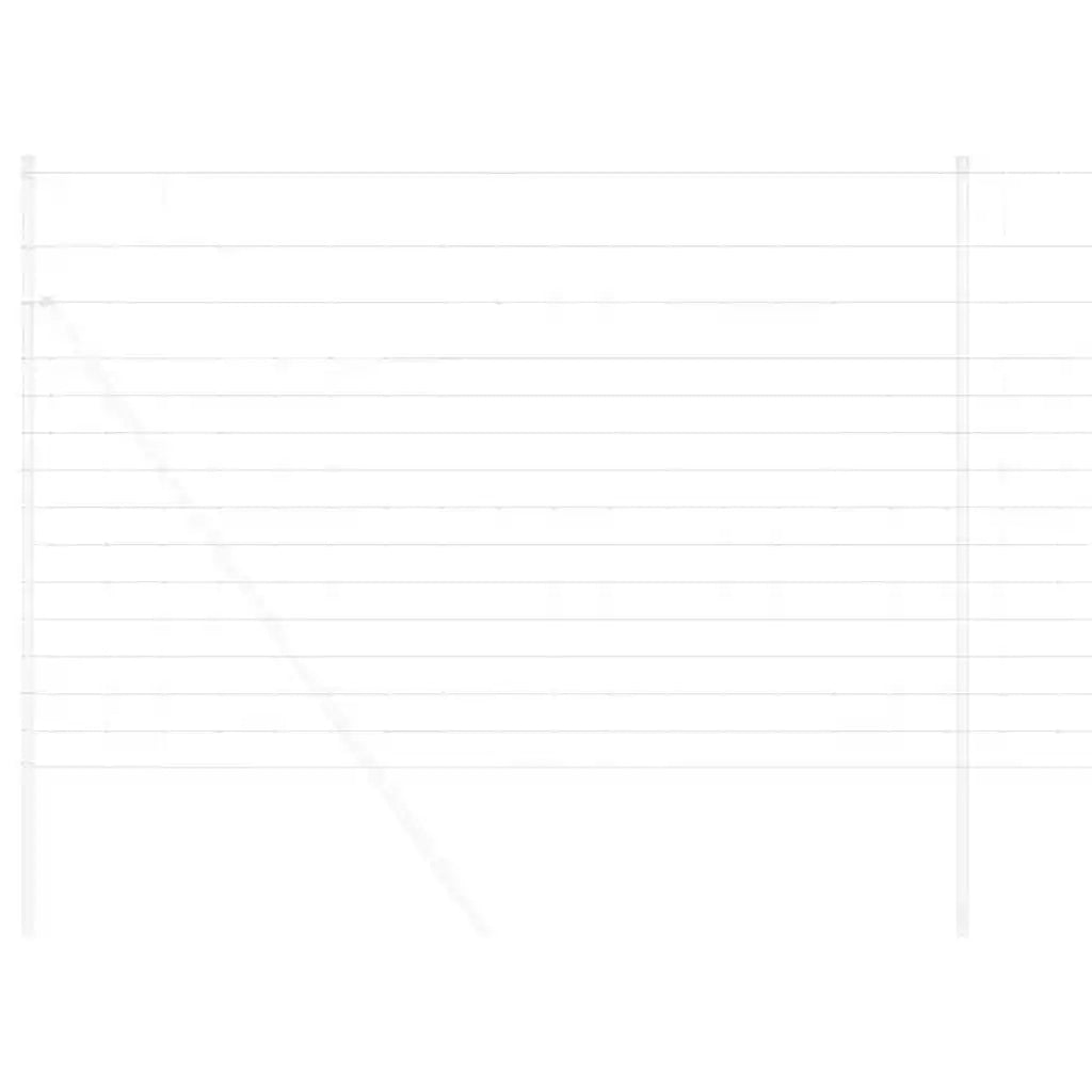 Recinto Selvaggio Zincato a Caldo 1000 x 160 x 0,18 cm Ferro 42005795
