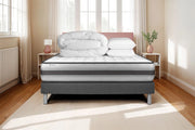 Pacchetto letto completo - Materasso 200x200cm + Box spring con doghe (in kit) + 2 cuscini + Piumino - Vitalpower Recover