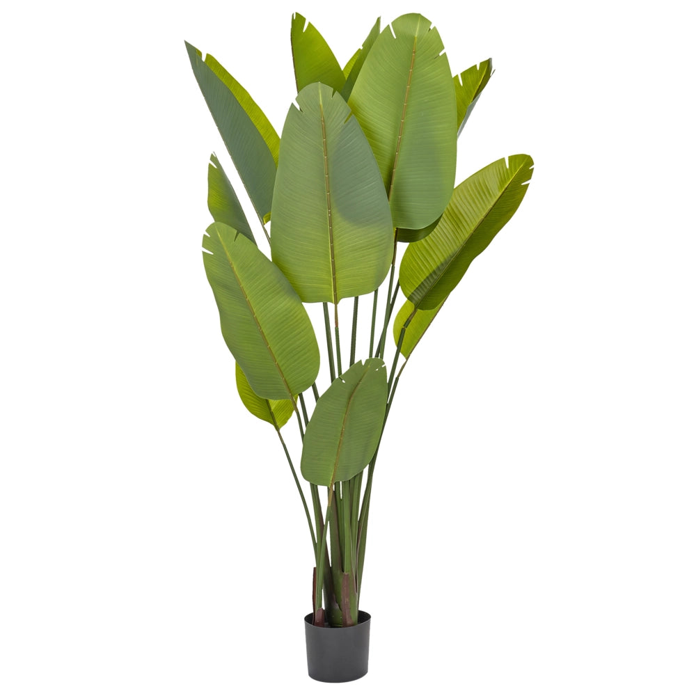 Pianta artificiale in vaso verde e nero sintetico 187 cm Materiale accessorio decorativo per interni