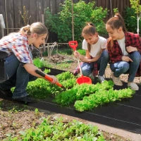 Telo per Pacciamatura 2x25 m per Orto, Serra e Giardino, Drenante e Traspirante, Nero