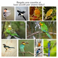 Gabbia per Uccelli in Legno e Metallo a 3 Aperture con 4 Posatoi e Vassoio Rimovibile, 80.5x57x153 cm, Arancione