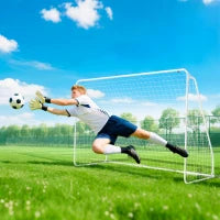 Porta da Calcio per Giardino e Parco con 6 Picchetti a U, in PE e Metallo Epossidico, 301x120x200 cm, Bianco