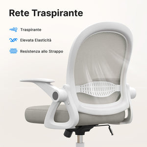 Sedia Ufficio con Supporto Lombare - RATTANTREE - Sedia Ufficio da Scrivania ergonomica Braccioli 90° Regolabile - Grigio