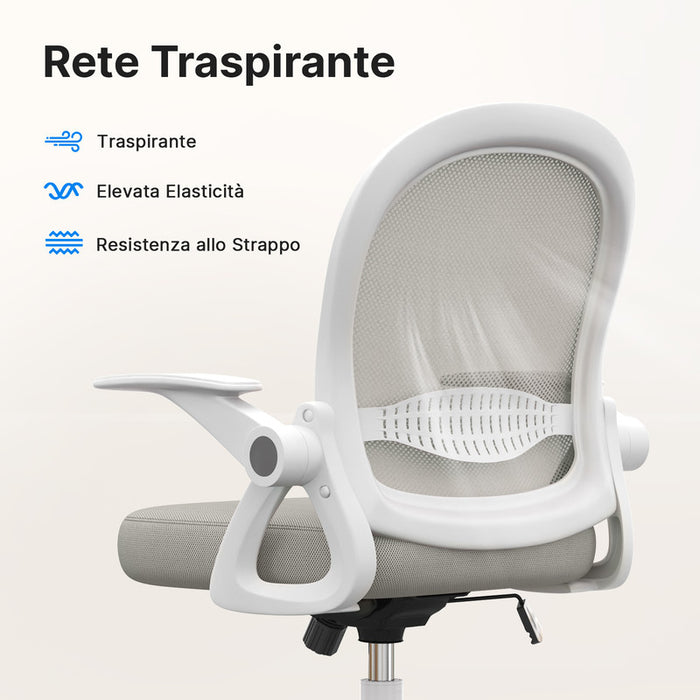 Sedia Ufficio con Supporto Lombare - RATTANTREE - Sedia Ufficio da Scrivania ergonomica Braccioli 90° Regolabile - Grigio