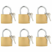 U Lock con Chiavi 6 pz Ottone Ferro CFW1024808