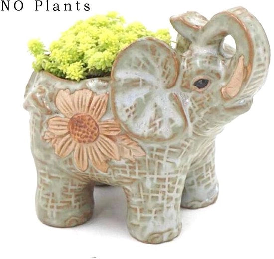 Piantina in Ceramica 12cm - Miniatura per Cactus e Succulente - Giardino - Diametro dell'apertura 6cm - Contenuto 1 pezzo
