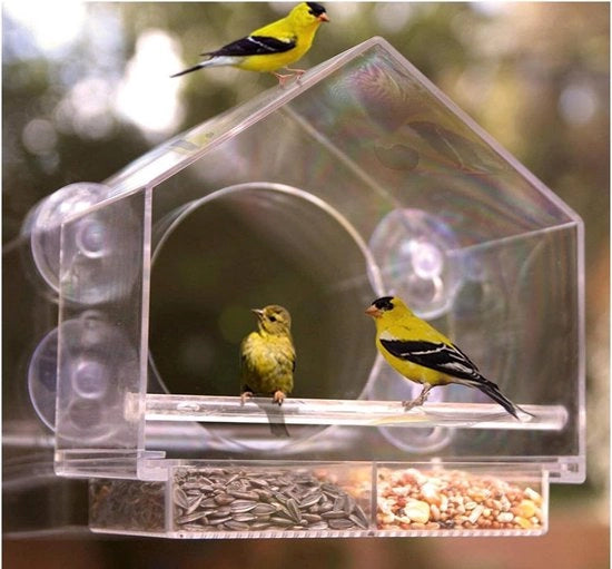 Casa per Uccelli con Fermoventi per Vetro - Distributore di Cibo per Uccelli Selvatici