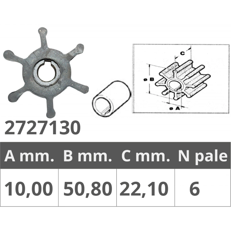 GIRANTE POMPE RENAULT 48300037/55