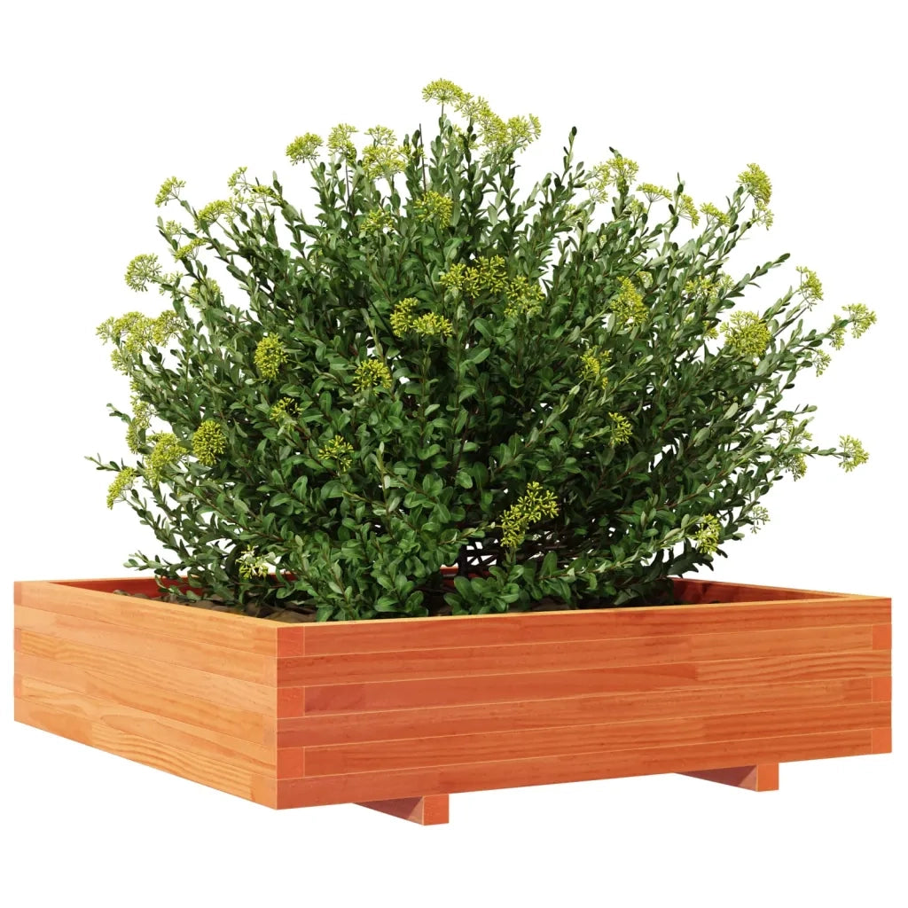 Fioriera Giardino 100x100x26,5cm Legno Massello Pino 847320