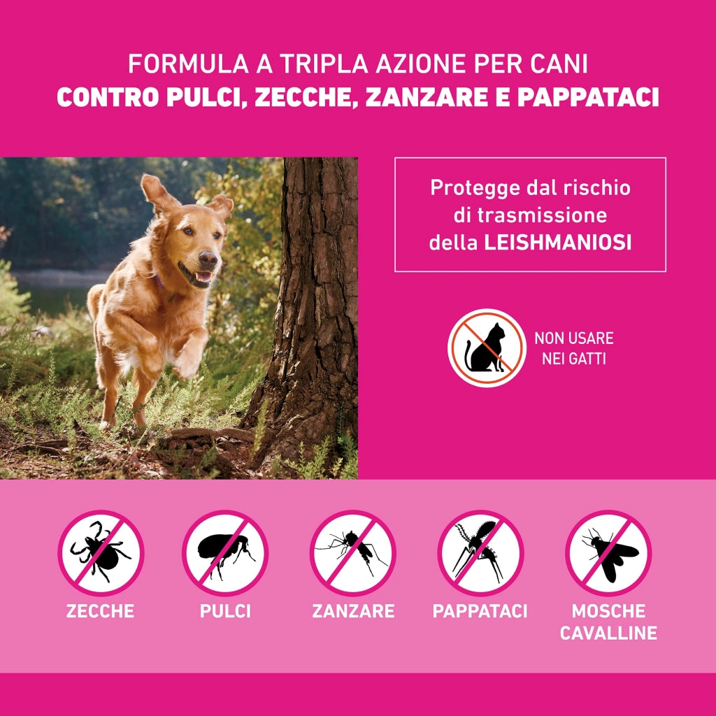 Frontline Triact Spoton per Cani S in Confezione da 6 Pipette Frontline