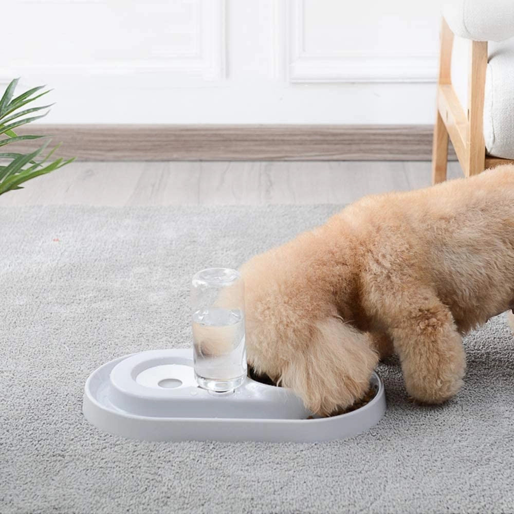 Trade Shop - Ciotola In Plastica Per Gatti Cani Piccoli Animali Domestici Per Alimenti Acqua -