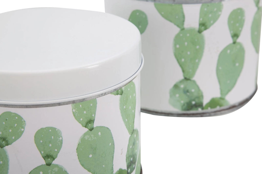Cofanetti in Latta Cactus Set 3 Pz Ø15x13,5-14x11,5-12,5x10 cm in Ferro Bianco, Verde