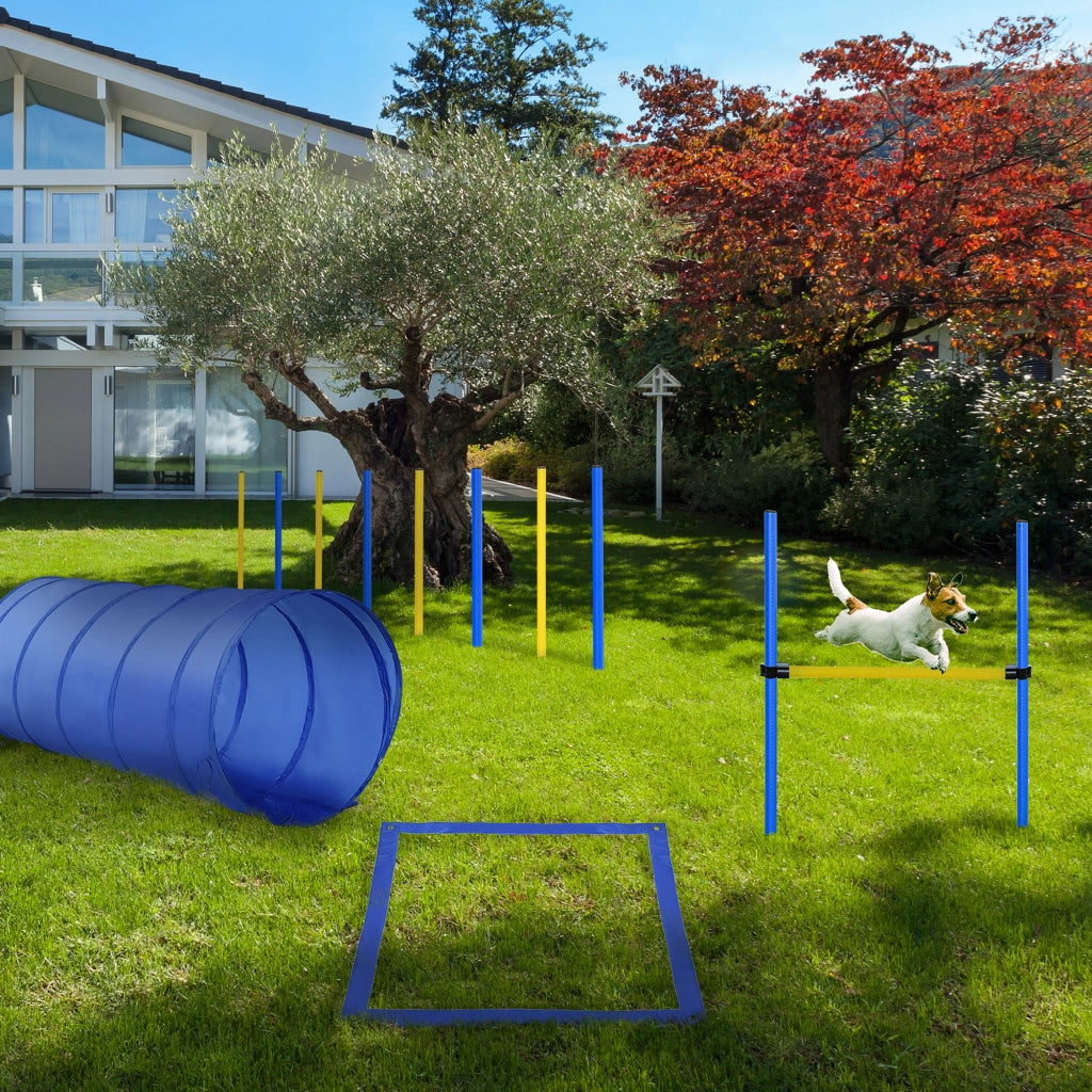 Set per Agility Cani con Tunnel, Slalom e Zona Riposo ¨C zephmum ¨C Blu e Giallo