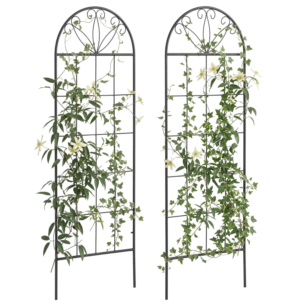 Griglia per piante rampicanti 2 pezzi ¨C zephmum ¨C 51x152 cm nero metallo