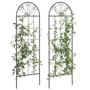 Griglia per piante rampicanti 2 pezzi ¨C zephmum ¨C 51x152 cm nero metallo