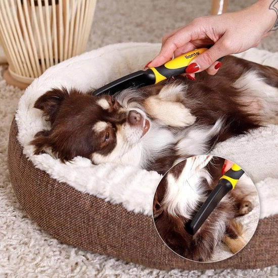 Aspirapulci Spazzola per gatti e cani Aspirapulci Spazzola per pulci Spazzola per pulci e polvere Spazzola per nidi Spazzola per pulci e parassiti