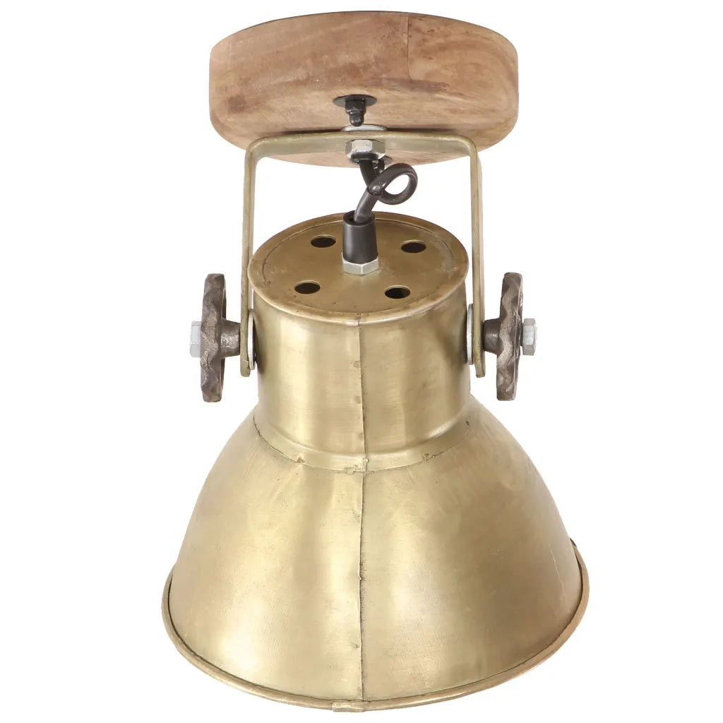 Lampade da Parete/Soffitto 2 pz Industriale Ottone 20x25 cm E27 CFW6361922