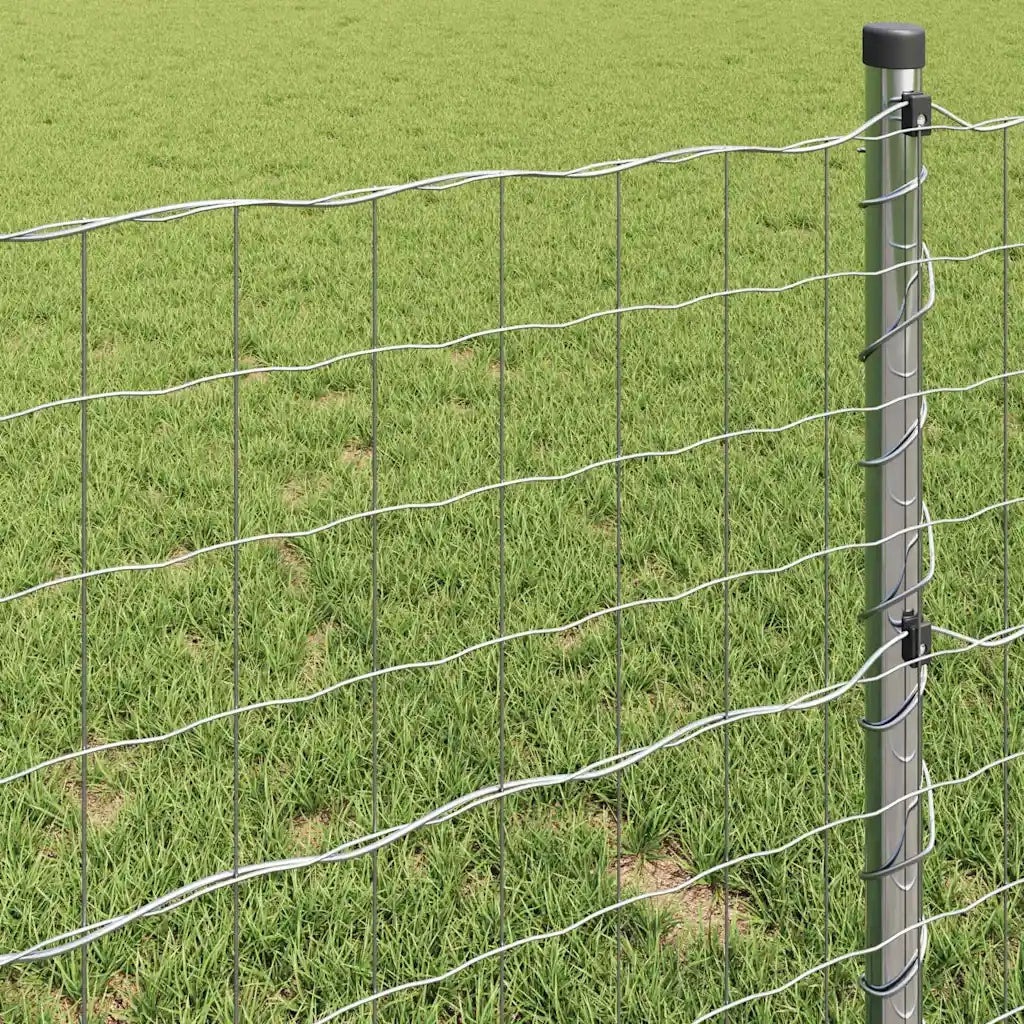 Recinzione Euro 0,8 x 10 m Ferro rivestito in PVC 42004740