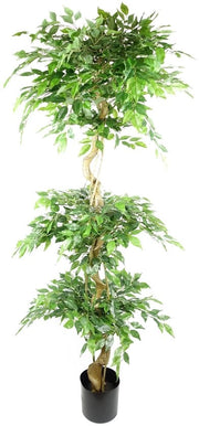 Pianta di Ficus Giapponese Realistica con Foglie, 180 cm, Pianta a Tre Basi, Fruticosa
