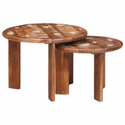 2 pz Tavoli da salotto | Tavolino da caff¨¨ | Tavolino da Soggiorno Nido Multicolore Legno massello riciclato
