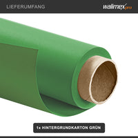 sfondo cartone 2,72x10m verde croma