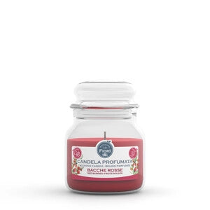 CANDELA OFFICINA DEI FIORI BACCHE ROSSE 50 ORE 6 pezzi
