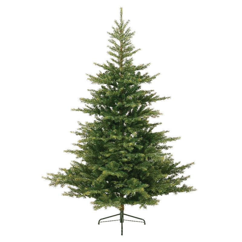 Albero di Natale Grandis Fir 172 x H 270 cm