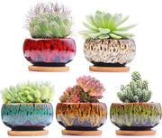 Set di 5 vasi ceramici per succulente con drenaggio e piatto fissato - vasi per piante (tonde)