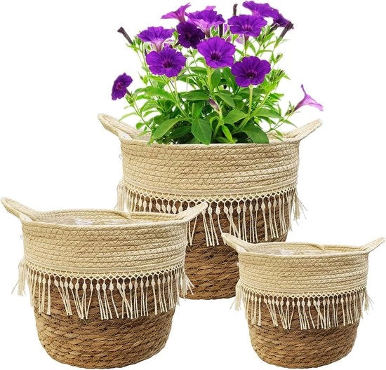 Pannelli per piante - Decorativi e funzionali - 3 pezzi - Cuscino di sabbia marina