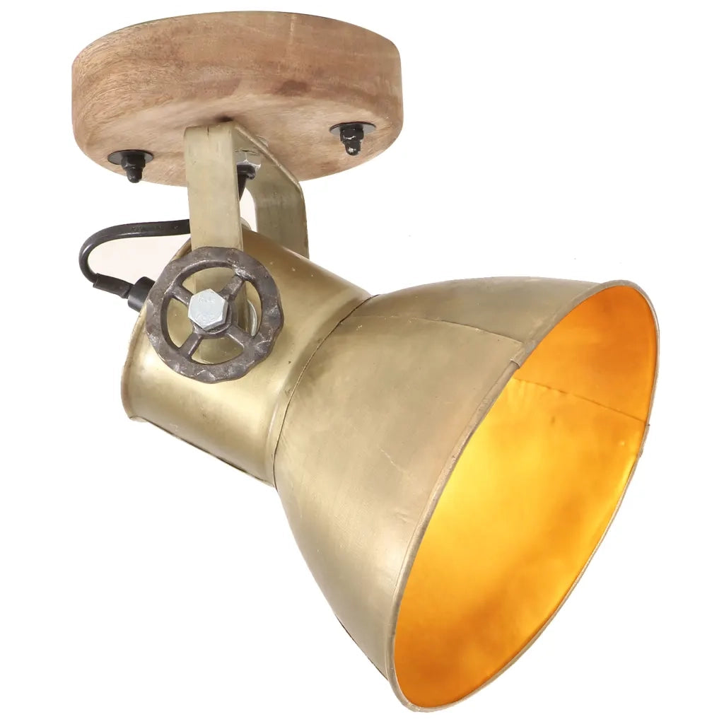 Lampade da Parete/Soffitto 2 pz Industriale Ottone 20x25 cm E27 CFW6361922